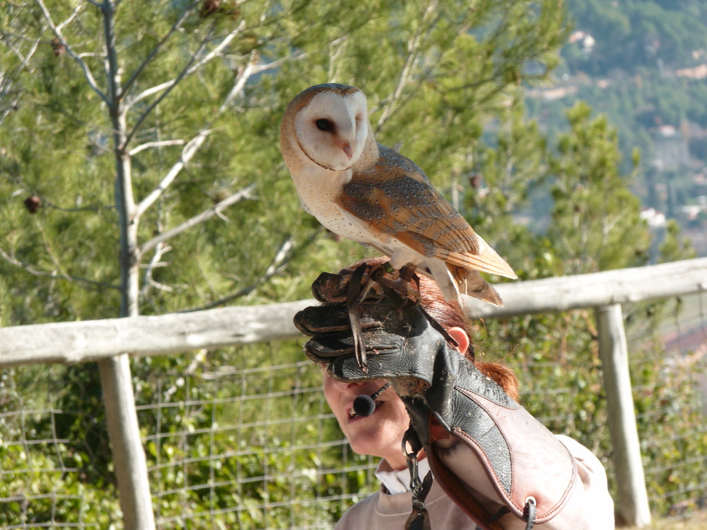 No s'ha trobat l'arxiu